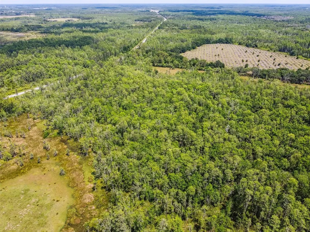 0 Street Road 557 Lake Alfred FL 33850