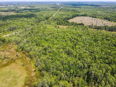0 Street Road 557 Lake Alfred FL 33850