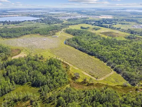 0 Street Road 557 Lake Alfred FL 33850