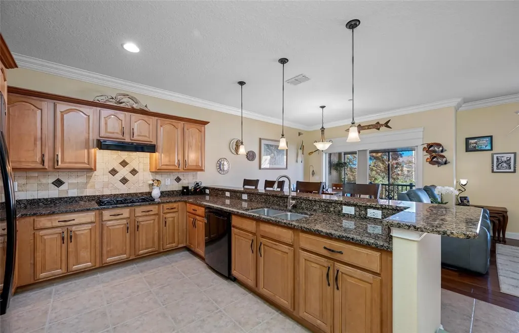6523 Sand Shore Lane New Port Richey FL 34652