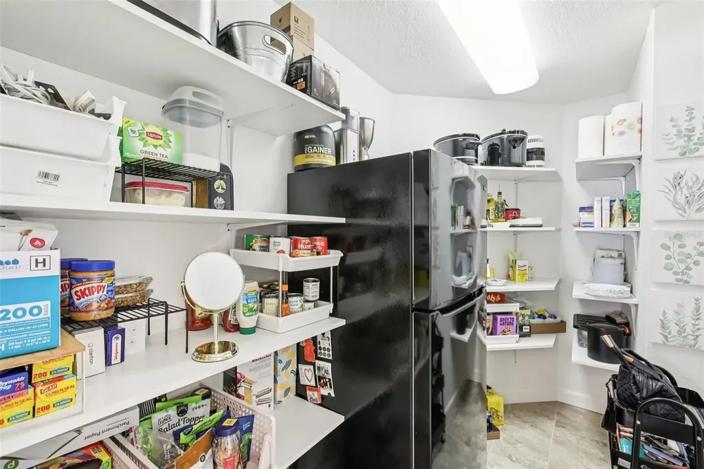 213 S Obrien Street Tampa FL 33609
