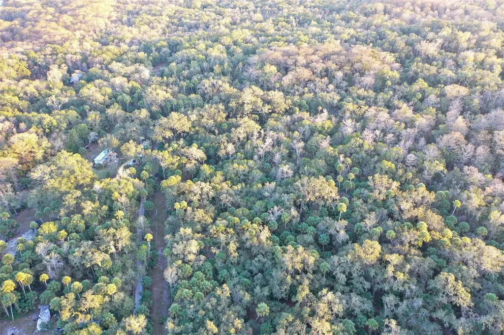 Inverness FL 34450
