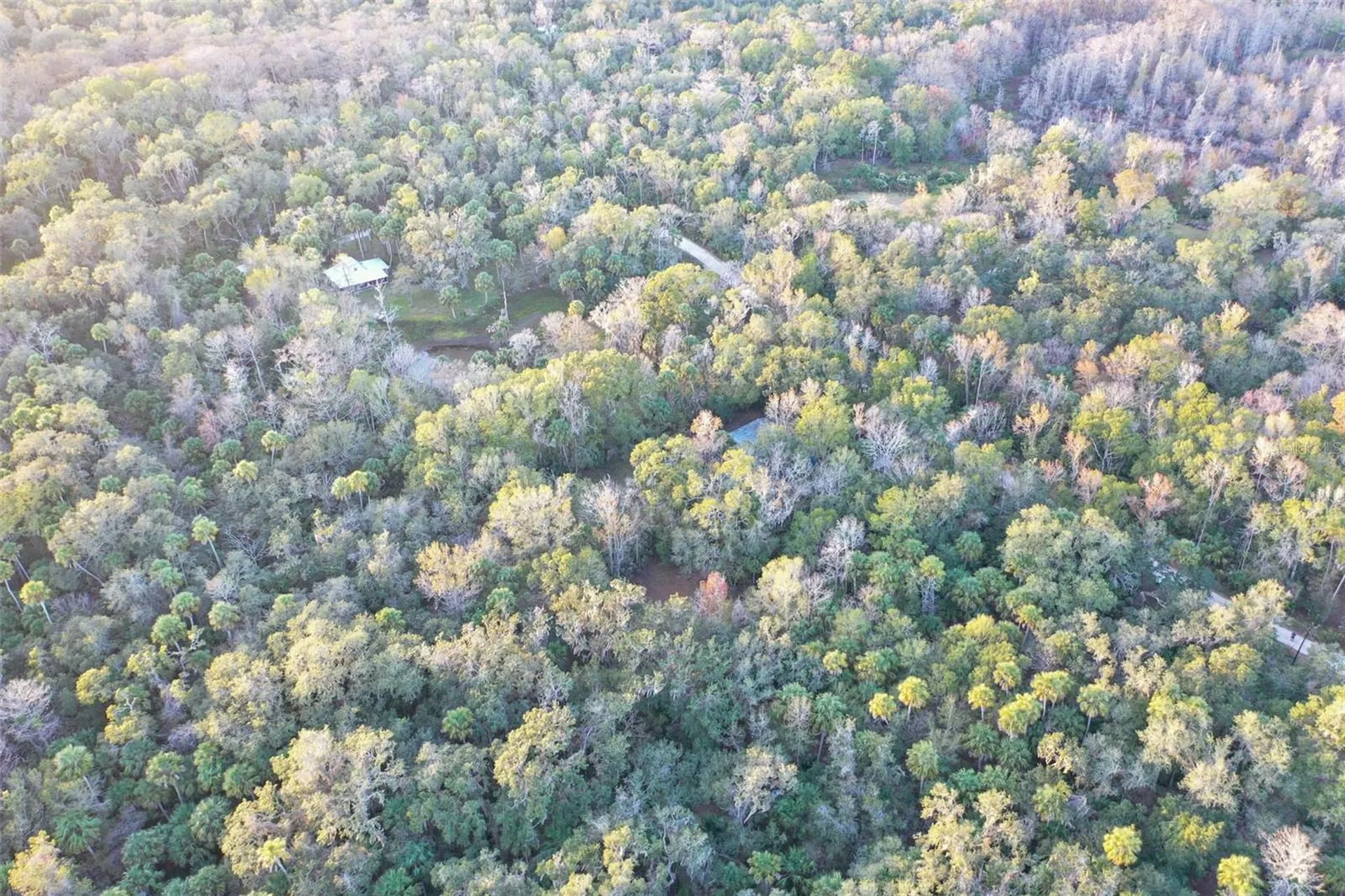 Inverness FL 34450