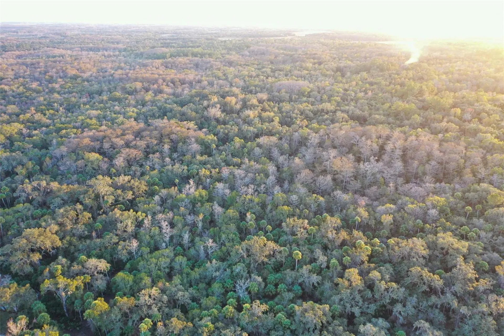 Inverness FL 34450