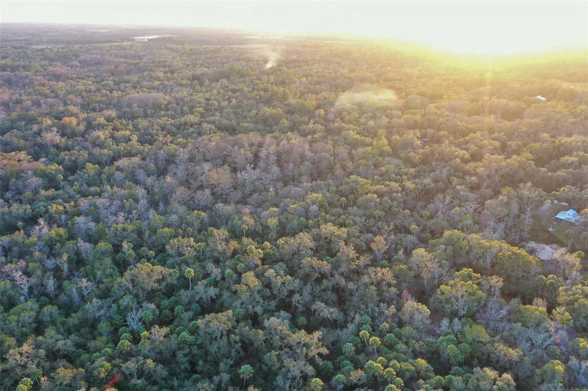 Inverness FL 34450