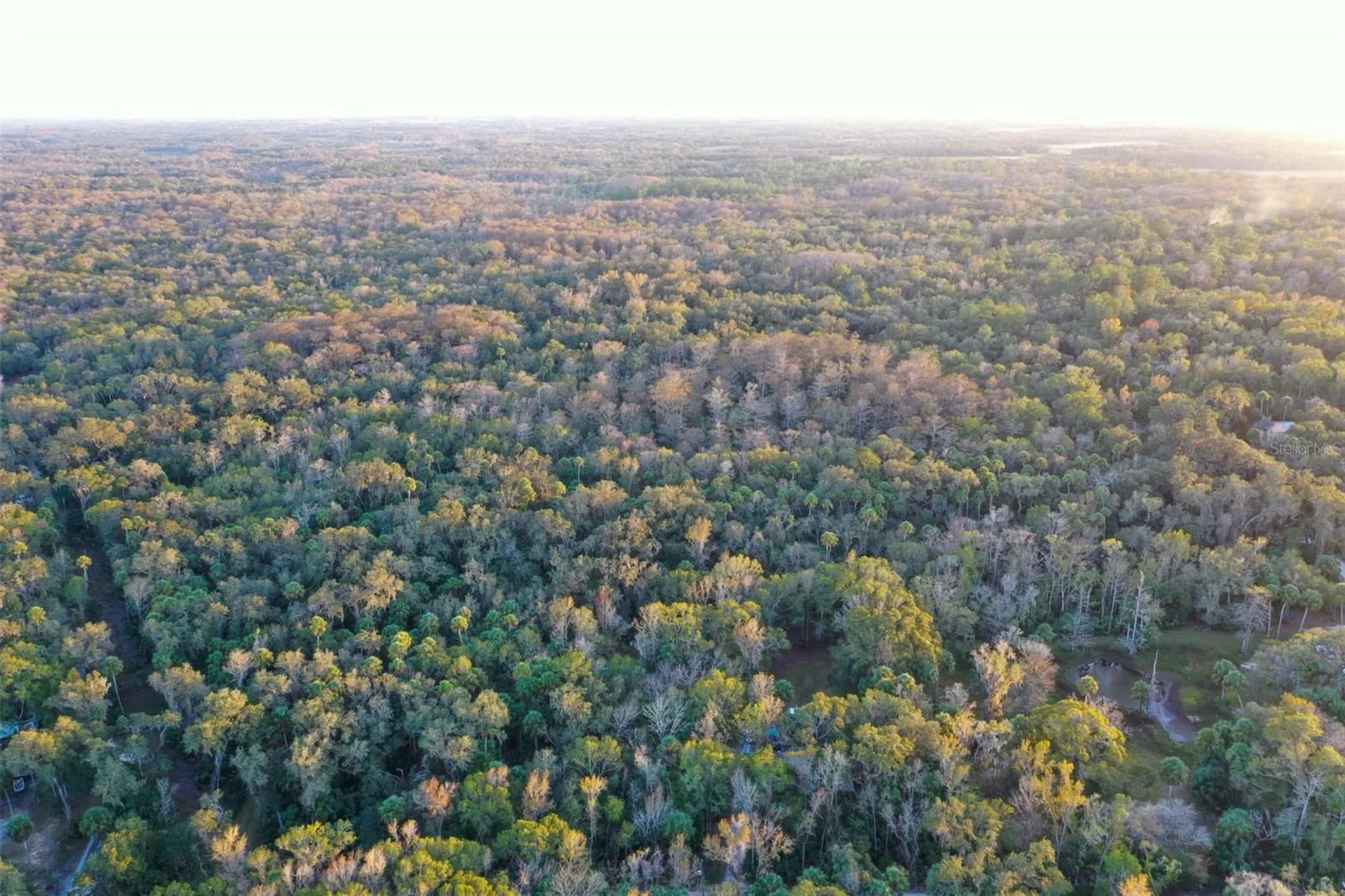 Inverness FL 34450