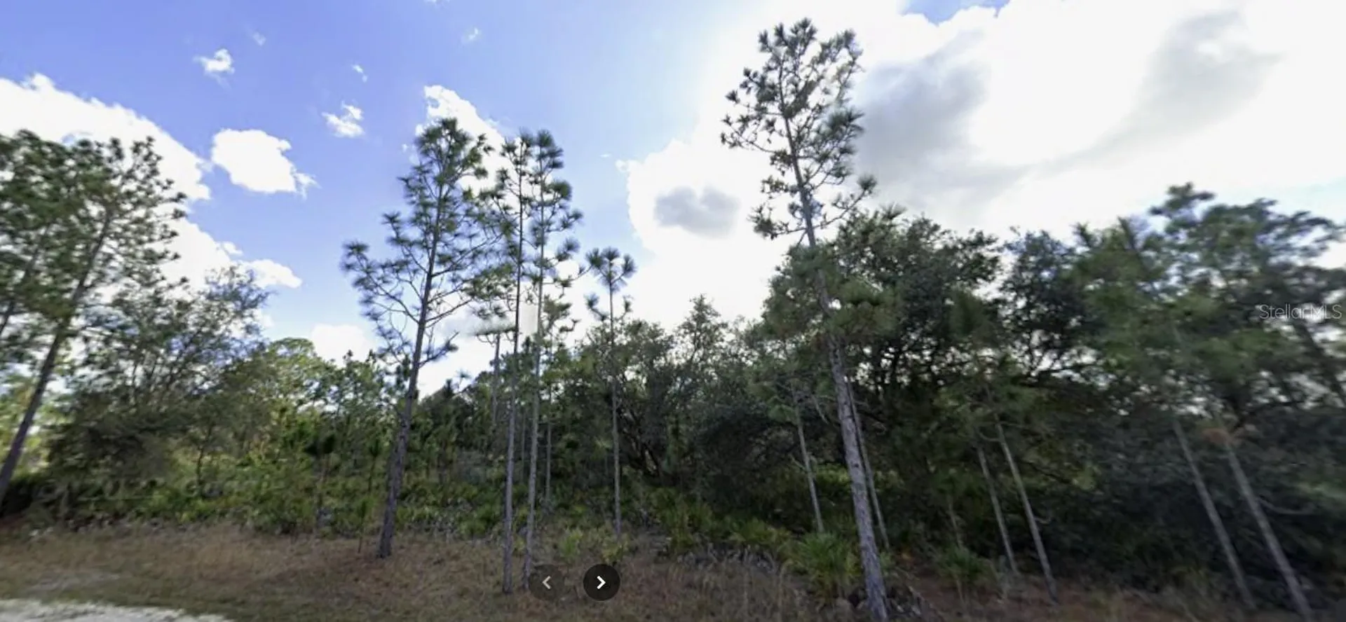 703 Gardenia Drive Indian Lake Estates FL 33855