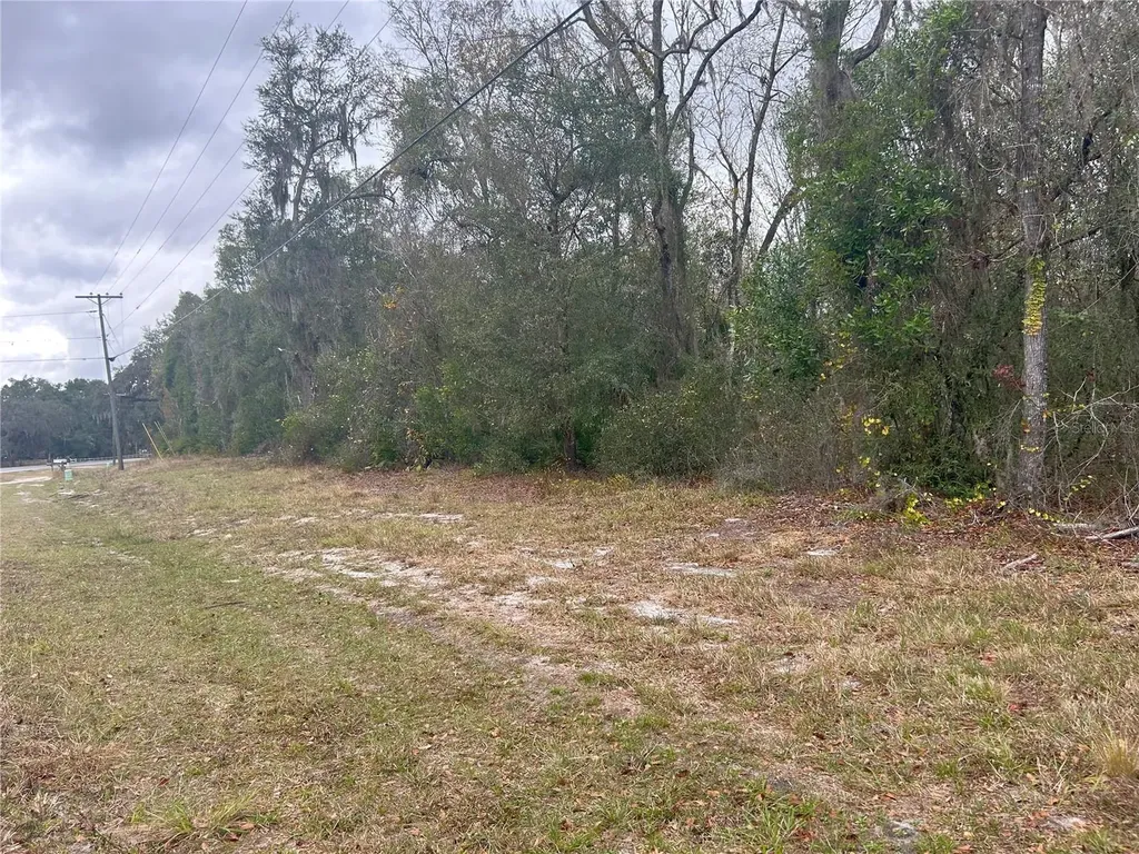 Tbd E Highway 316 Citra FL 32113