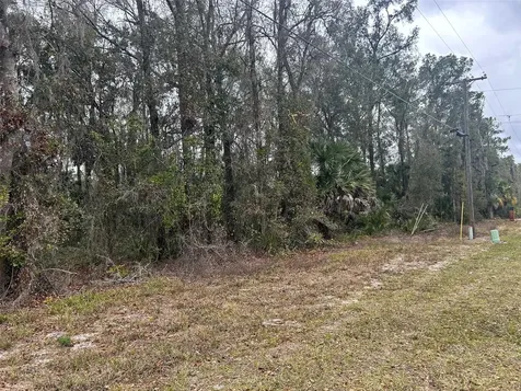 Tbd E Highway 316 Citra FL 32113