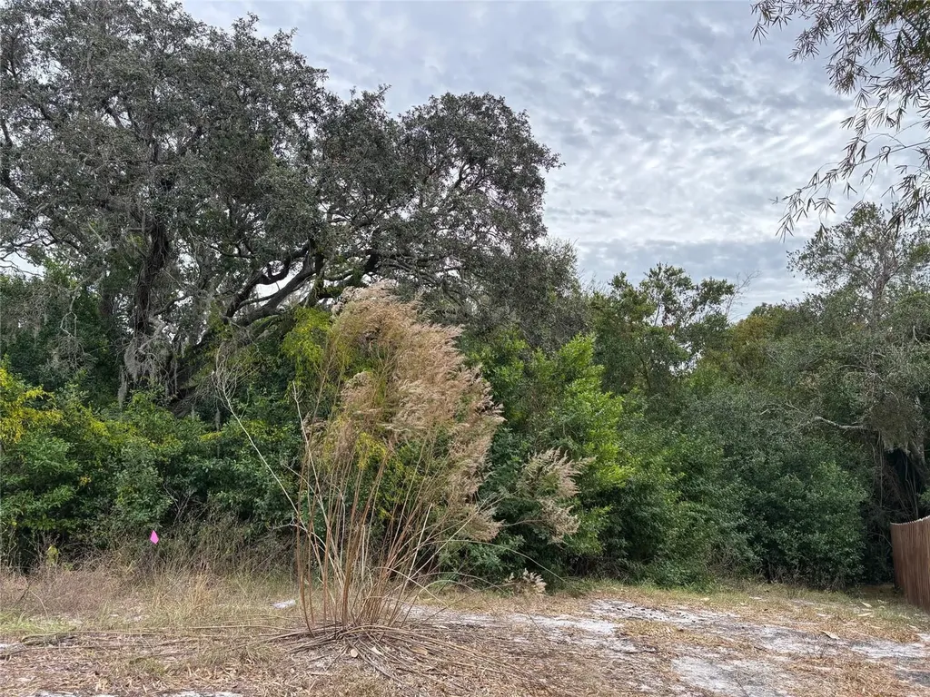6330 Kelvin Court Spring Hill FL 34606