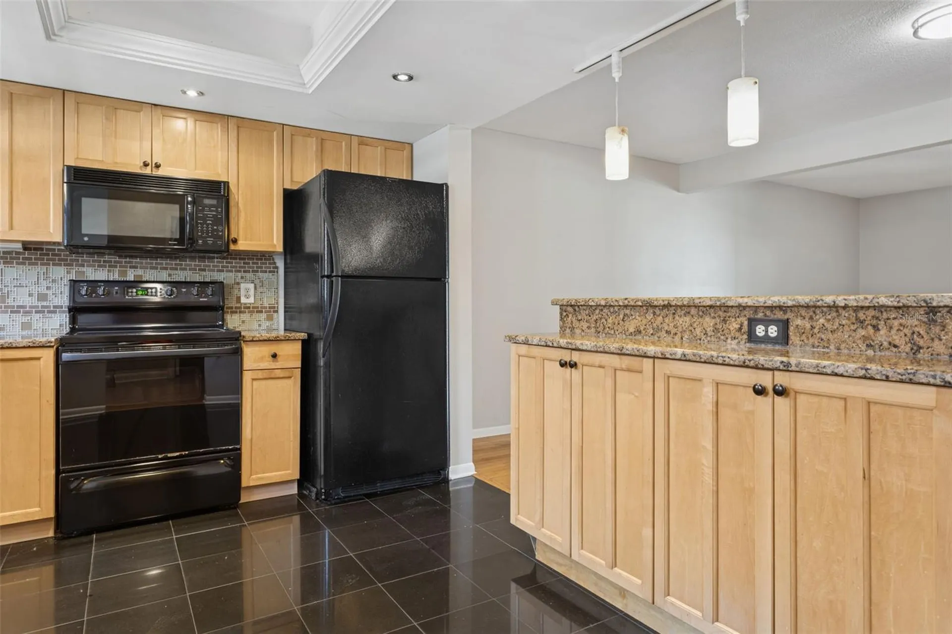 3366 W Hidden Haven Court Tampa FL 33607