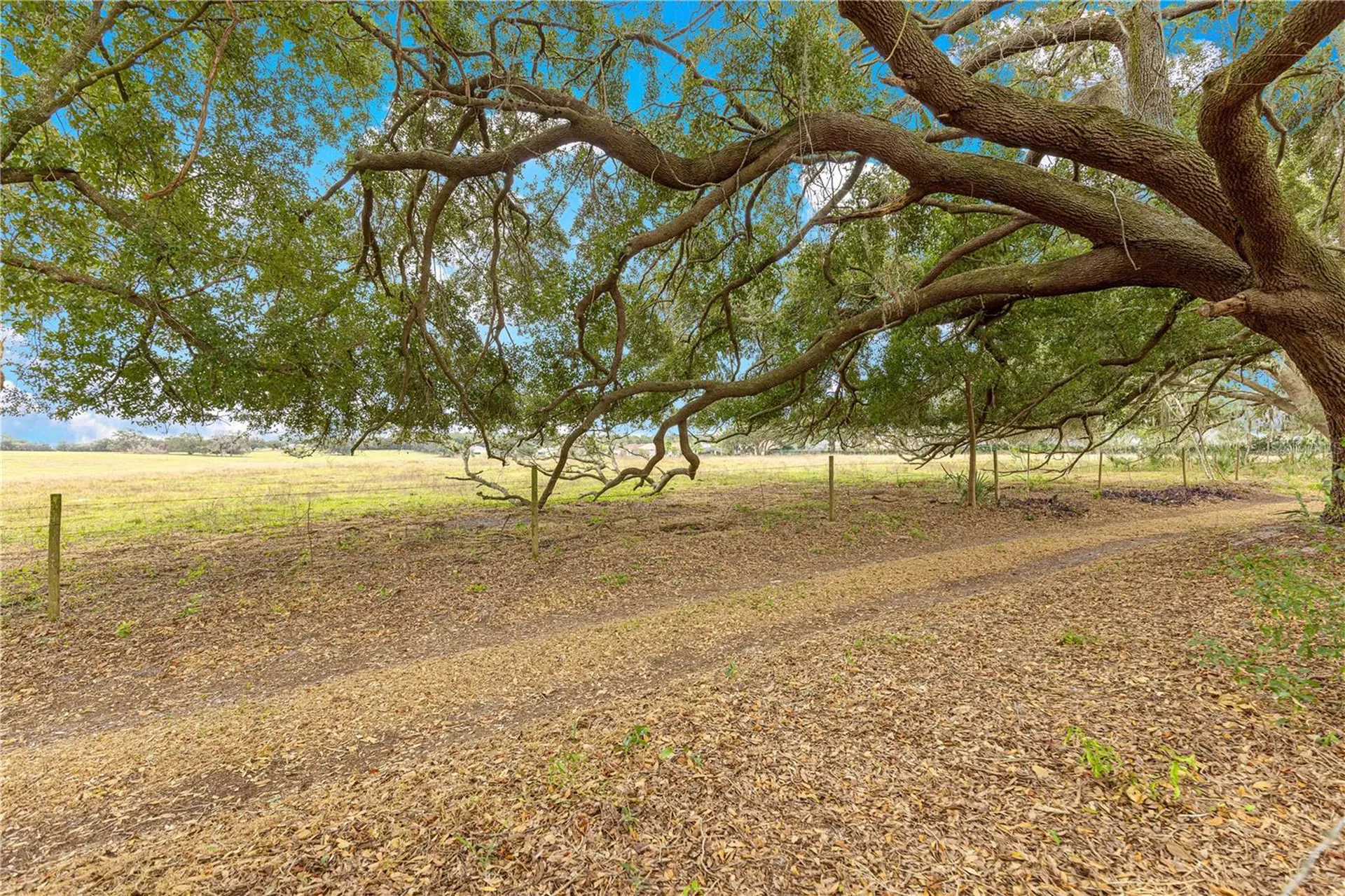17187 SE 116th Court Road Summerfield FL 34491