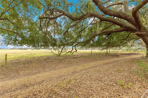 17187 SE 116th Court Road Summerfield FL 34491