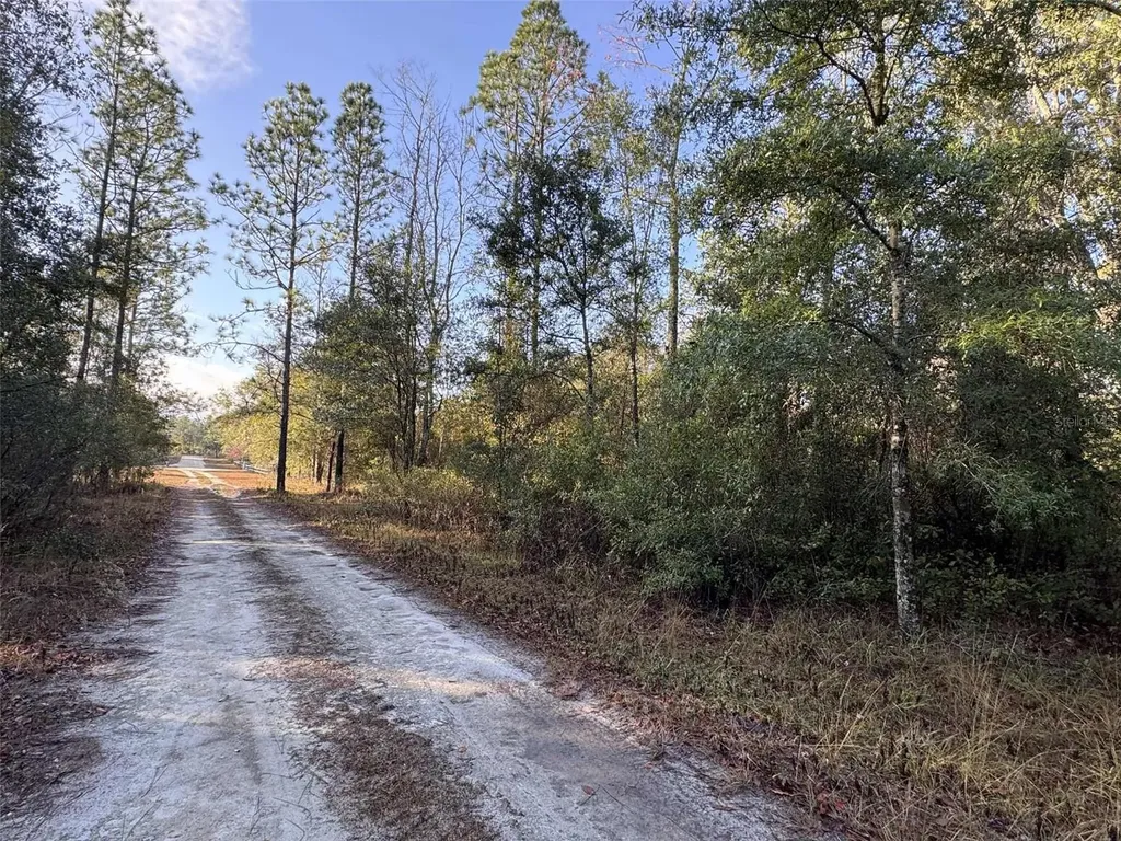 103RD Drive O'brien FL 32071