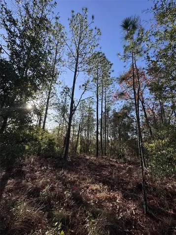 103RD Drive O'brien FL 32071