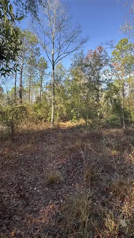 103RD Drive O'brien FL 32071