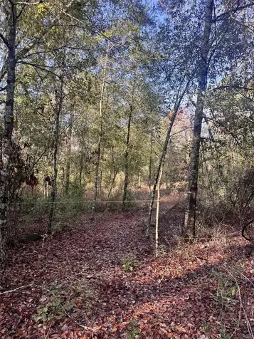 103RD Drive O'brien FL 32071
