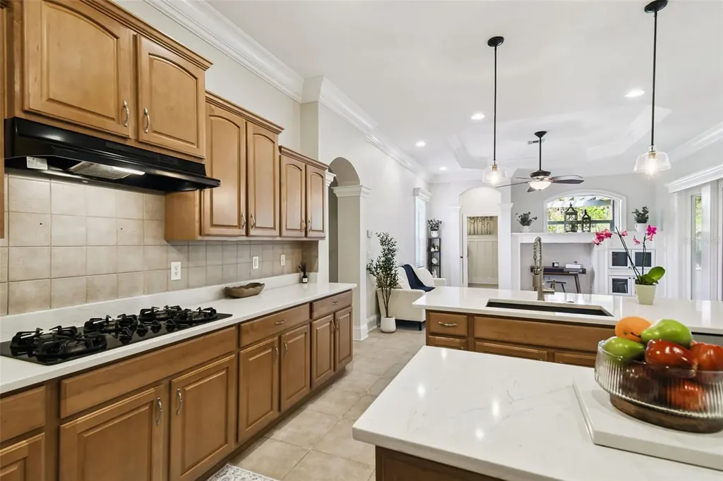 19547 Mossy Oak Court Brooksville FL 34601