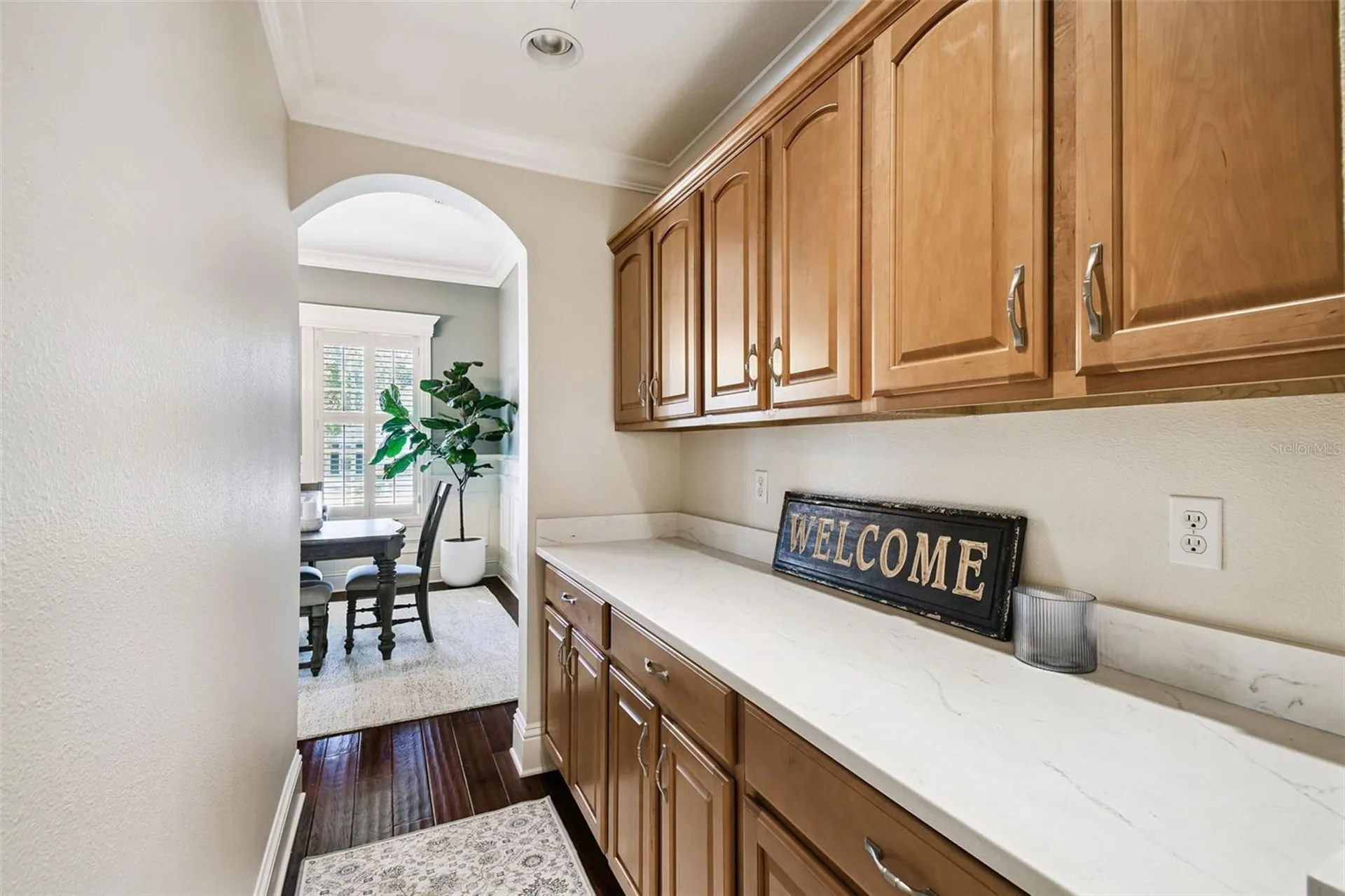 19547 Mossy Oak Court Brooksville FL 34601