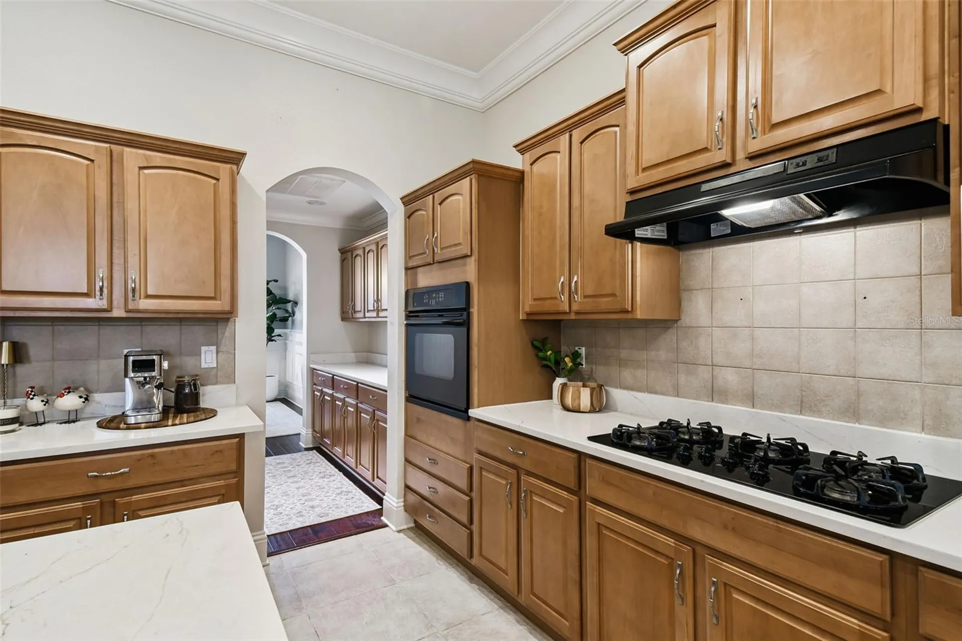 19547 Mossy Oak Court Brooksville FL 34601