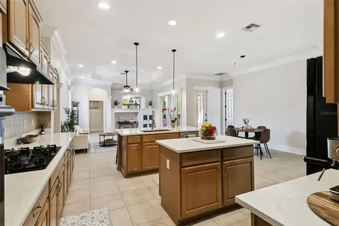 19547 Mossy Oak Court Brooksville FL 34601