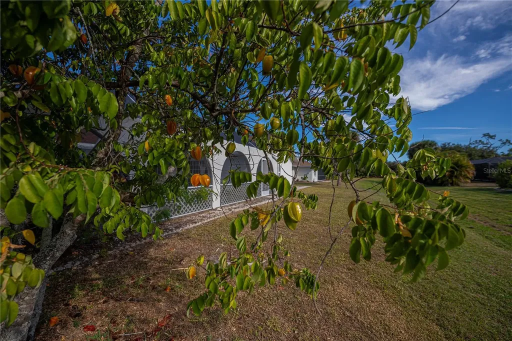 26071 Paysandu Drive Punta Gorda FL 33983