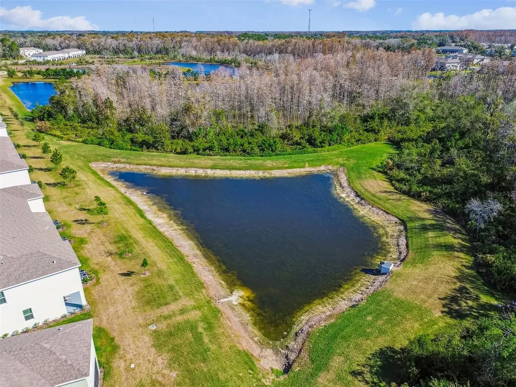 11070 Crescent Deer Drive Land O Lakes FL 34638
