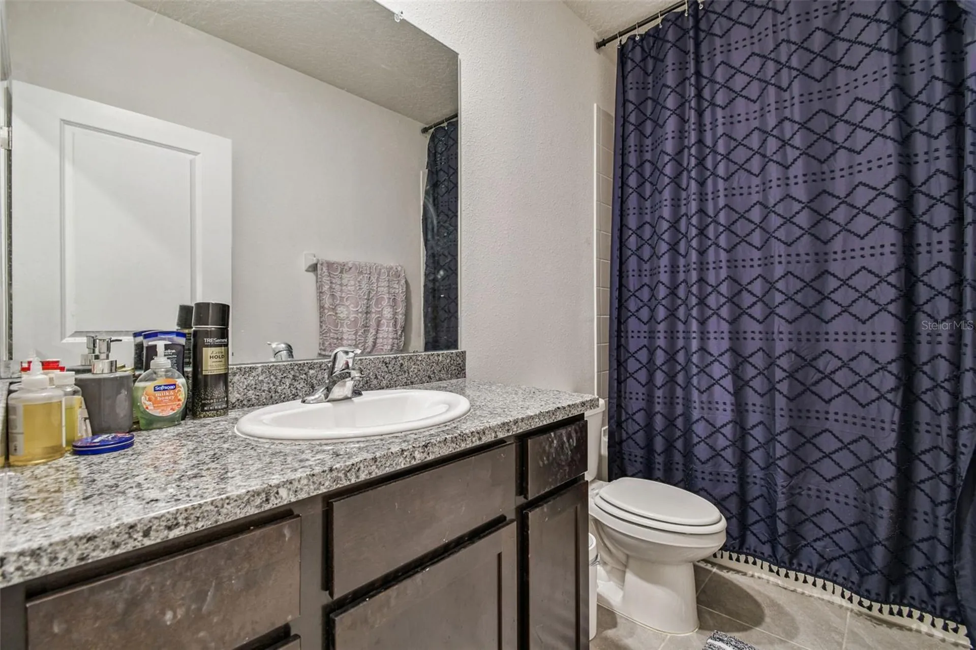 11070 Crescent Deer Drive Land O Lakes FL 34638