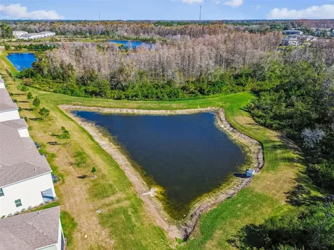 11070 Crescent Deer Drive Land O Lakes FL 34638