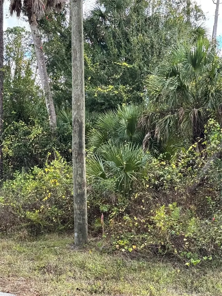17081 Fallkirk Avenue Port Charlotte FL 33954