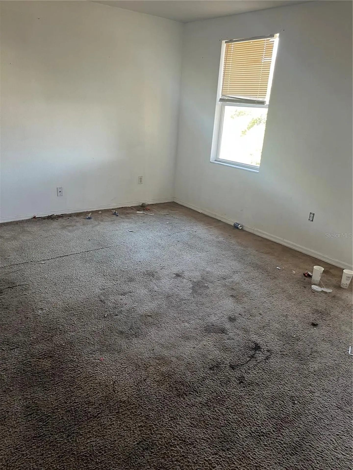3607 N 52nd Street Tampa FL 33619