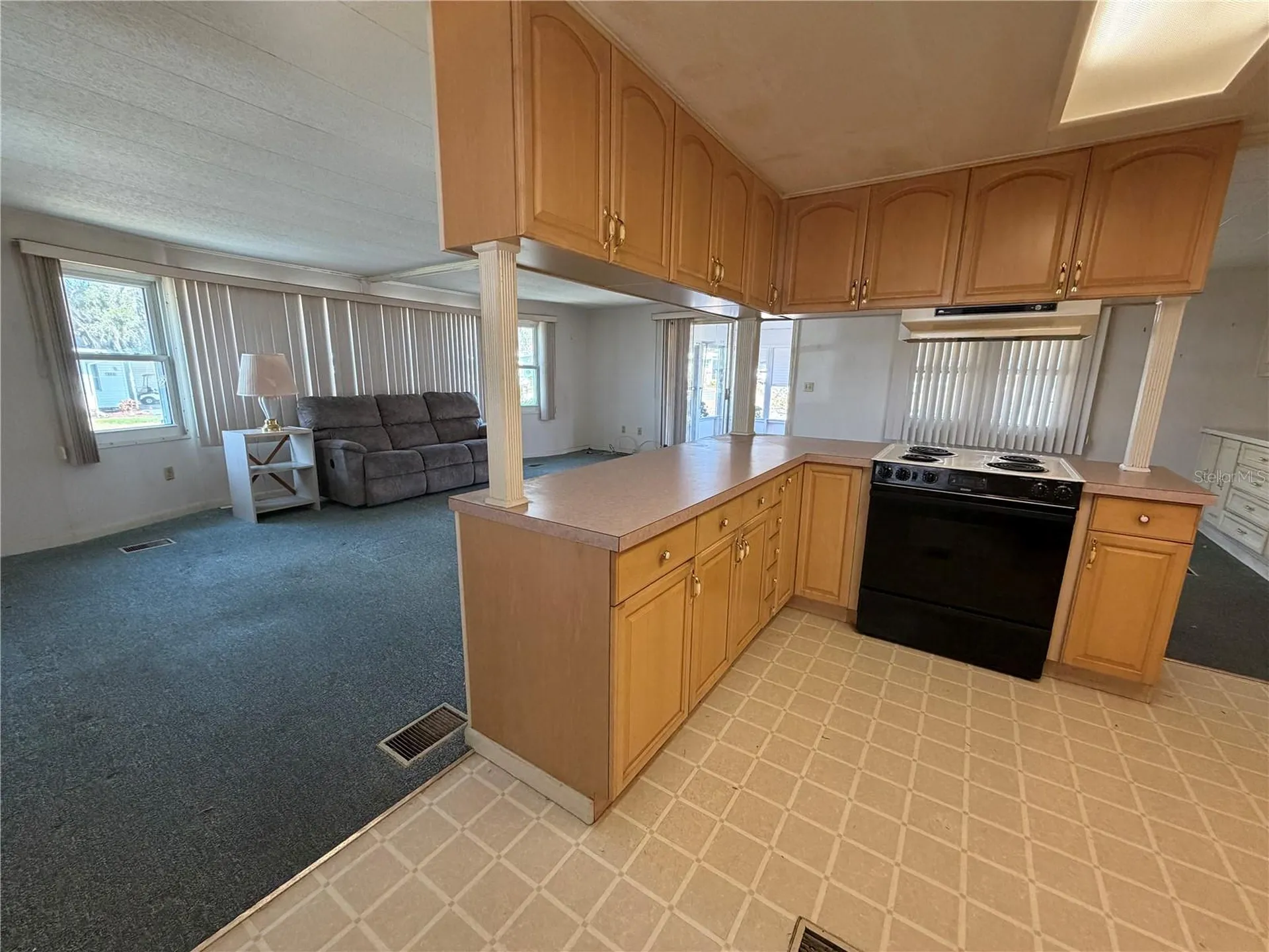 341 Palo Verde Drive Leesburg FL 34748