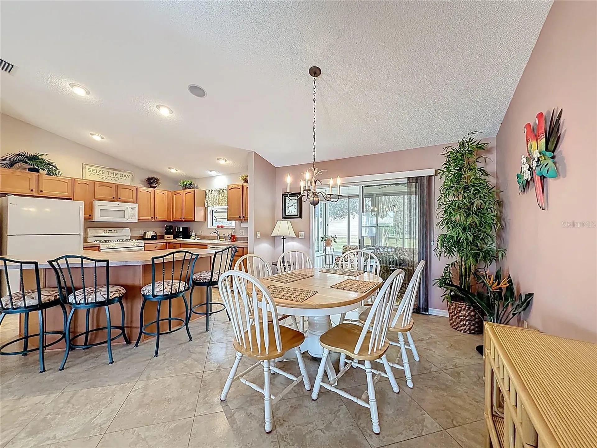 1399 Holly Hill Avenue The Villages FL 32162