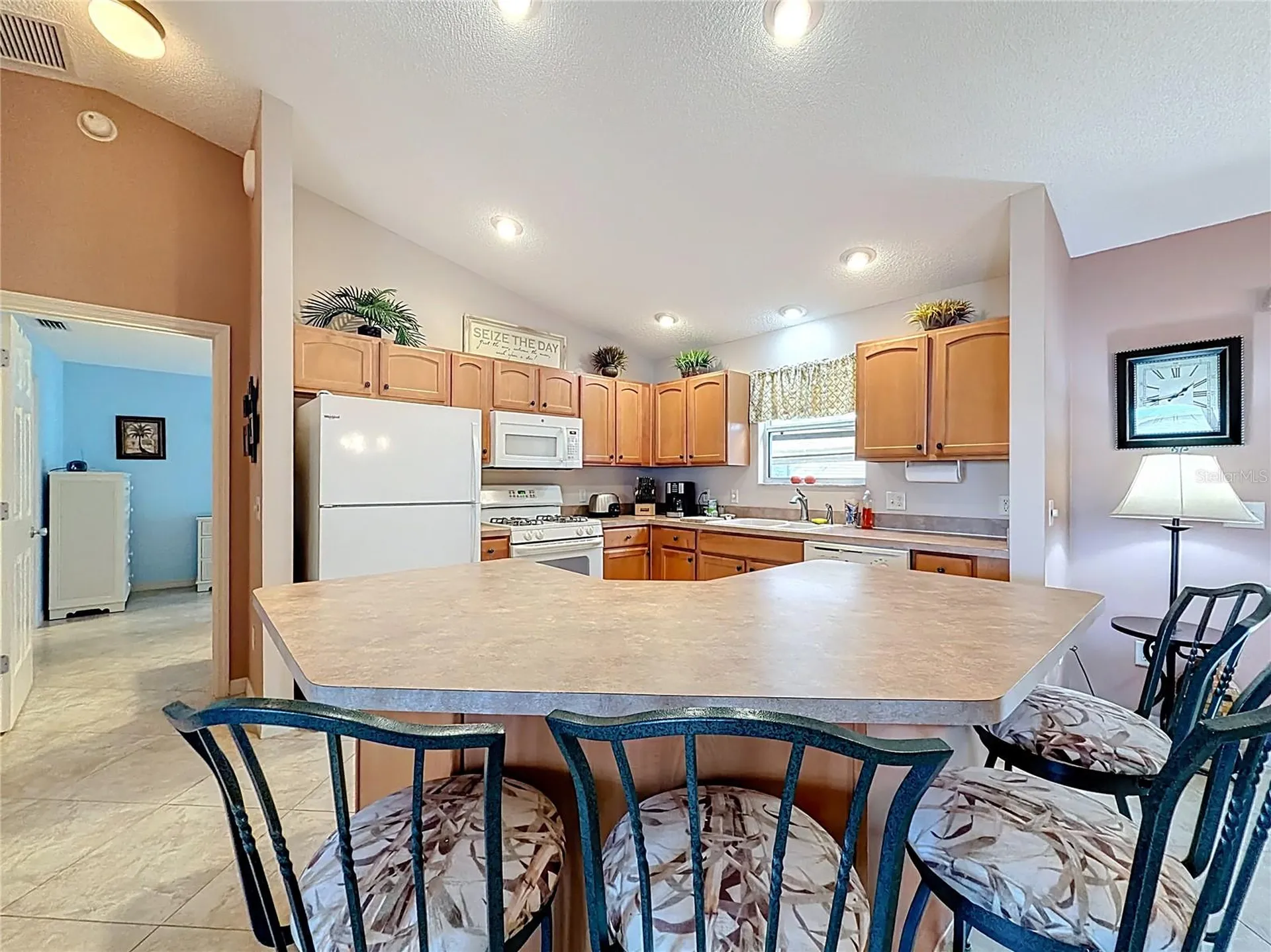 1399 Holly Hill Avenue The Villages FL 32162