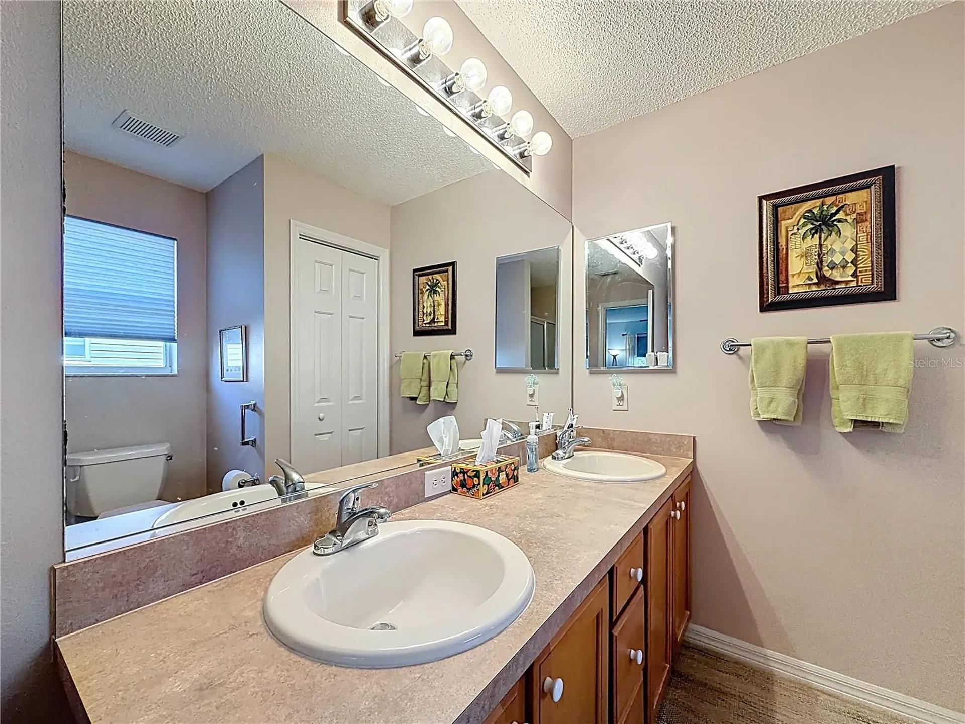 1399 Holly Hill Avenue The Villages FL 32162