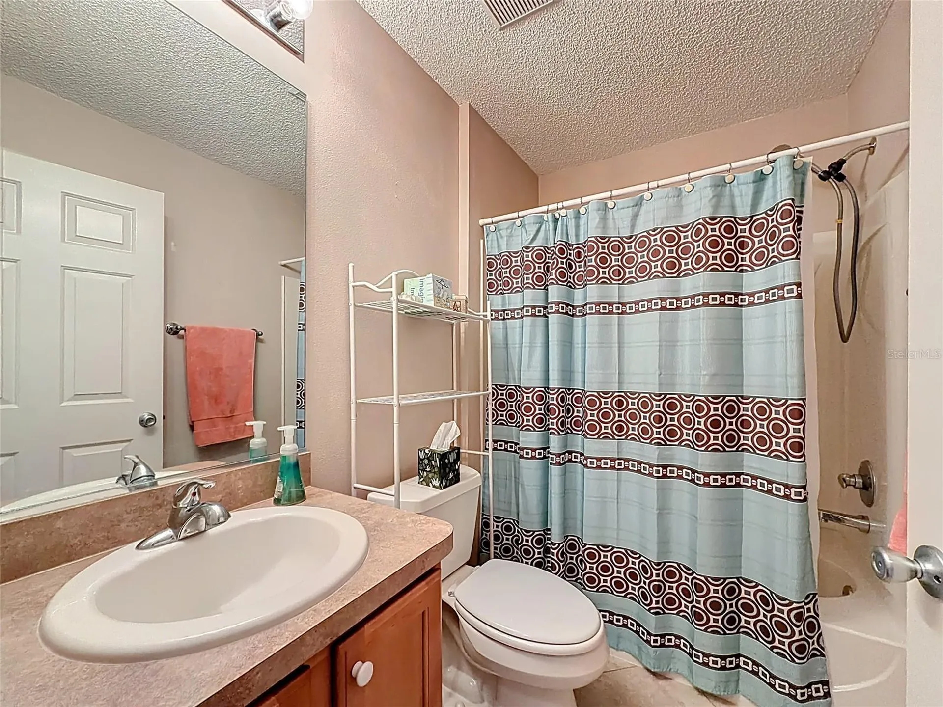 1399 Holly Hill Avenue The Villages FL 32162