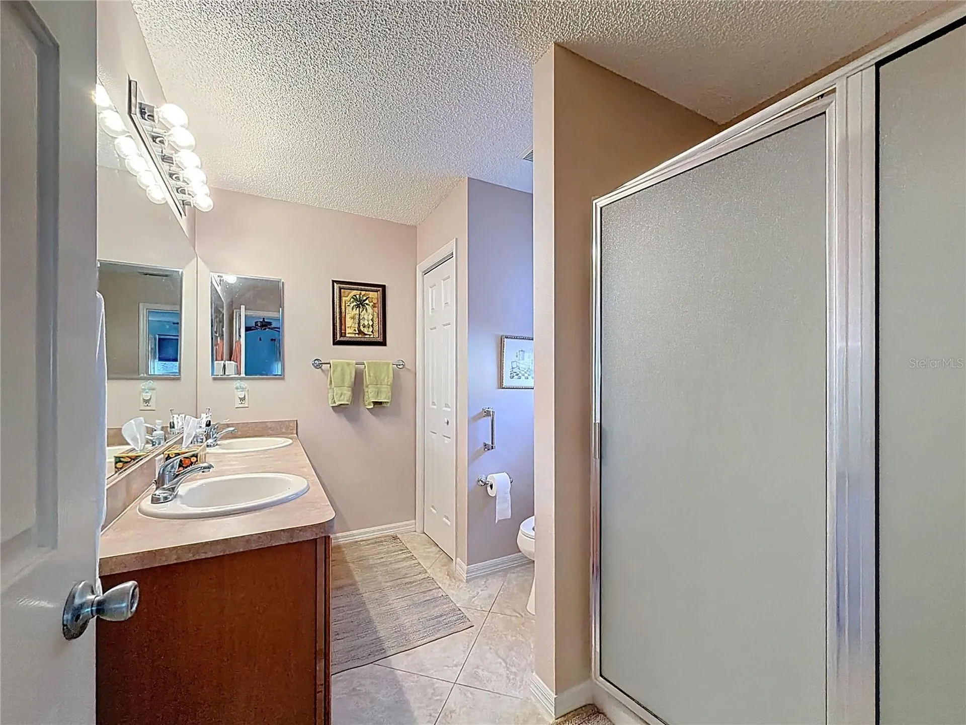 1399 Holly Hill Avenue The Villages FL 32162