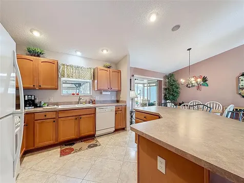 1399 Holly Hill Avenue The Villages FL 32162
