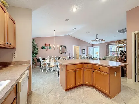 1399 Holly Hill Avenue The Villages FL 32162
