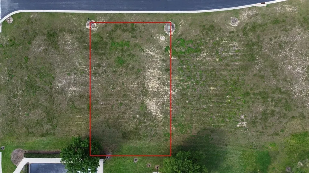 229 Snowy Orchid Way Lake Alfred FL 33850