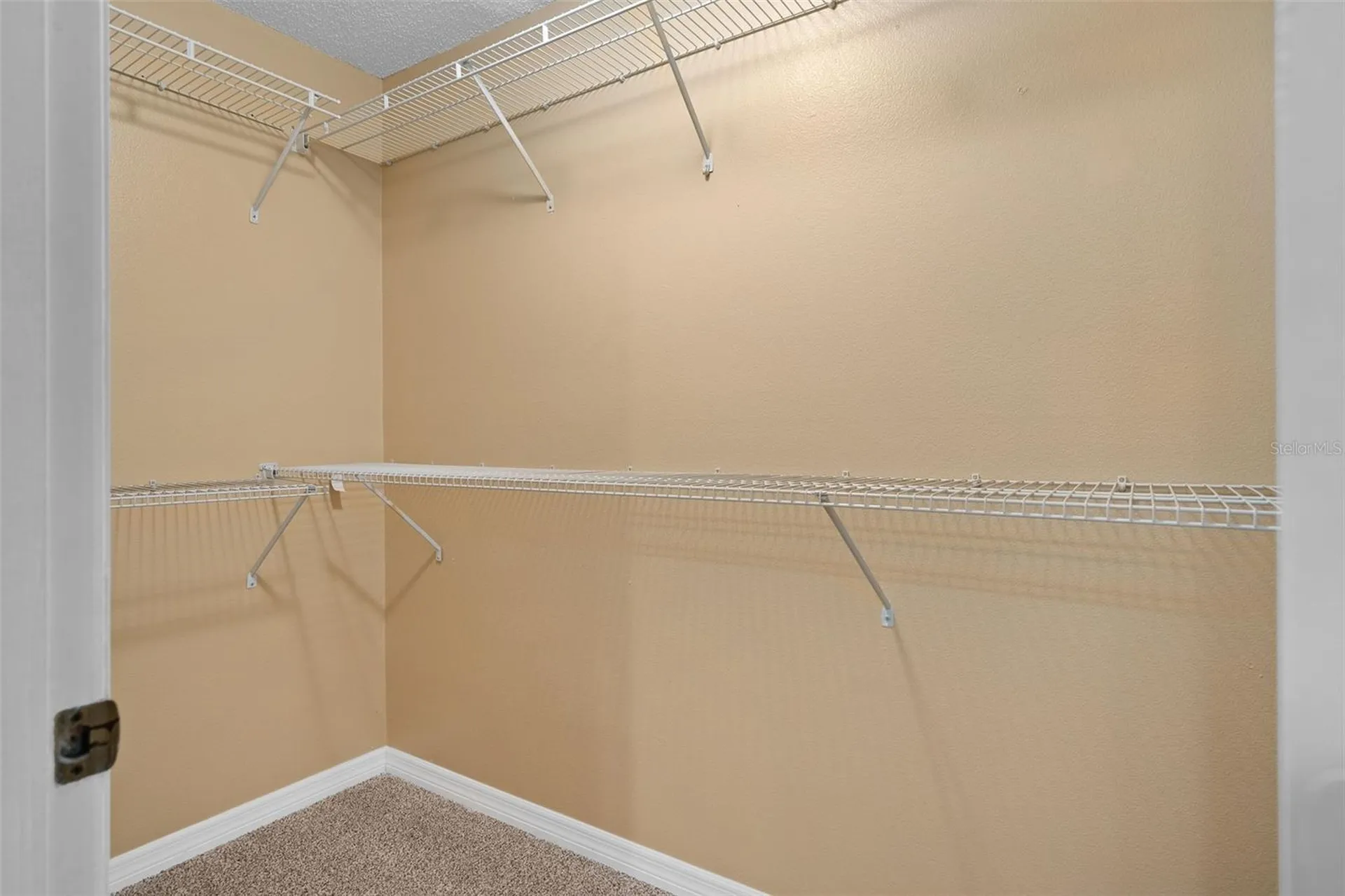 6010 Mountel Court Orlando FL 32810