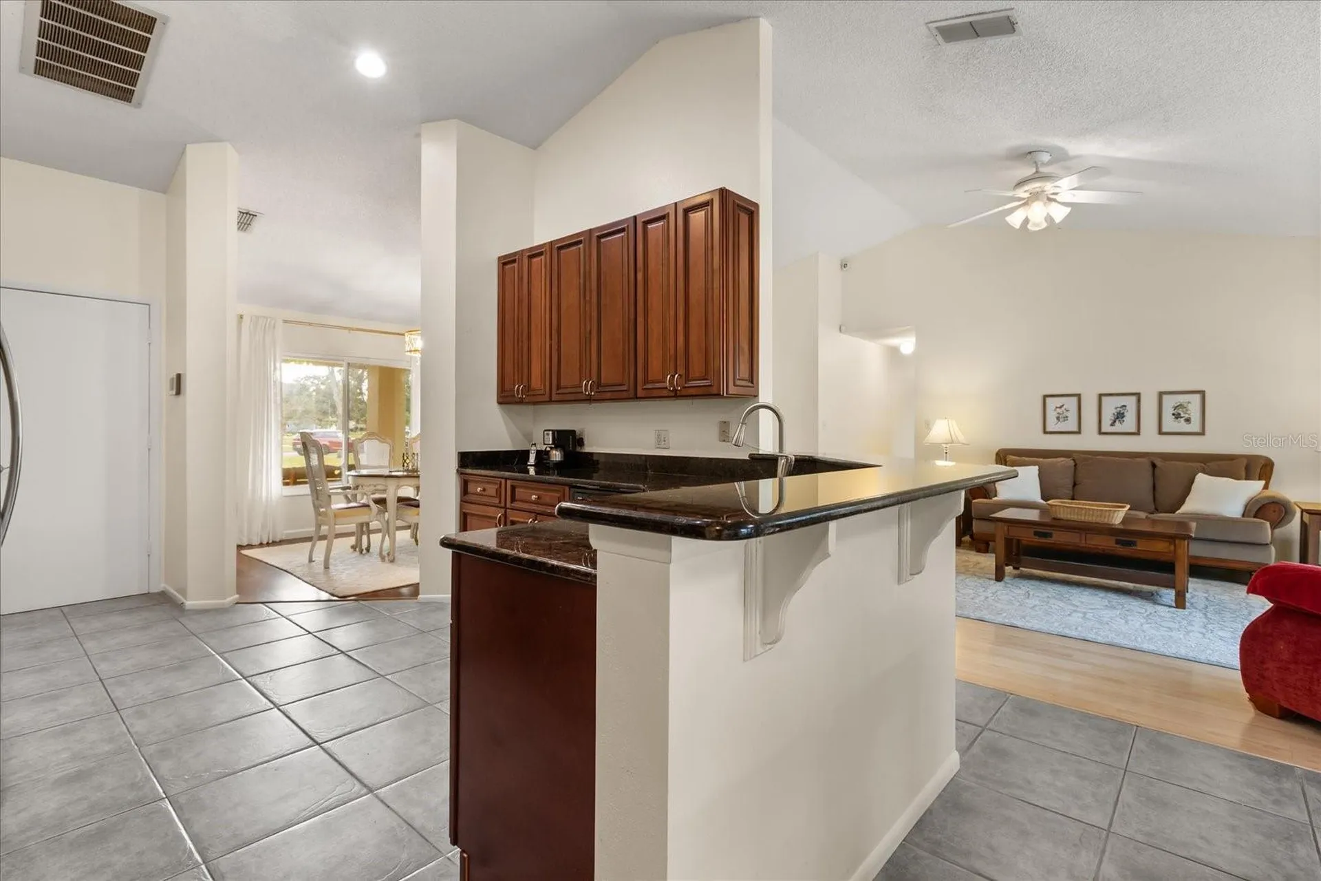 7741 Lake Andrea Circle Mount Dora FL 32757