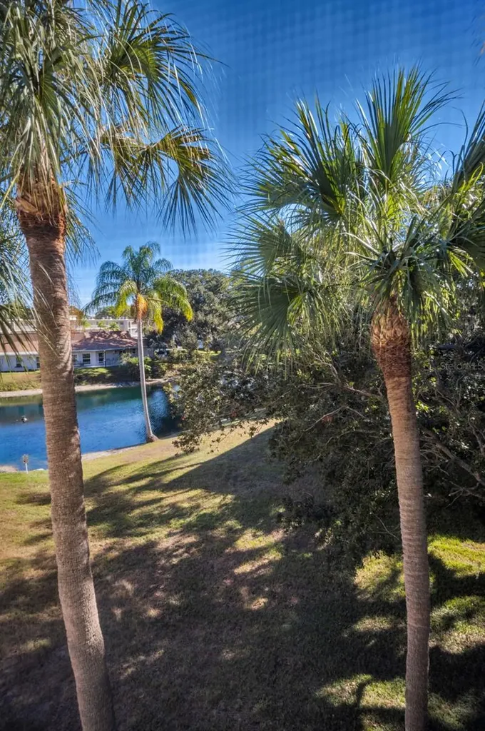 841 Patricia Avenue Dunedin FL 34698