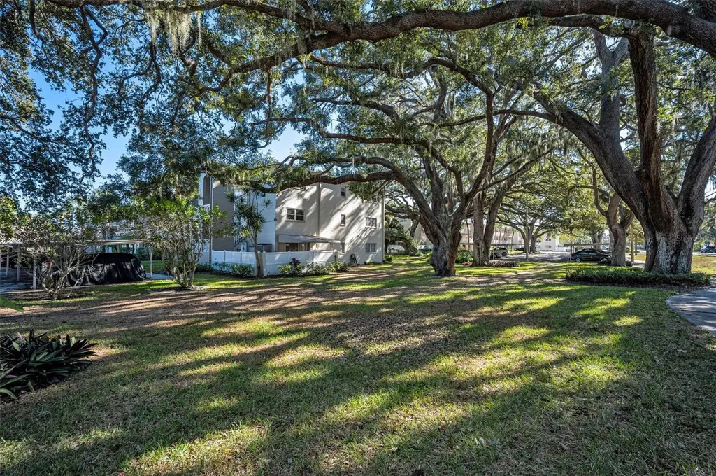 841 Patricia Avenue Dunedin FL 34698