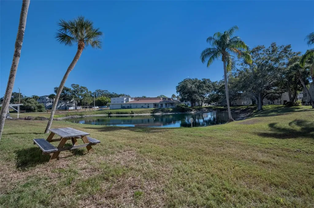 841 Patricia Avenue Dunedin FL 34698