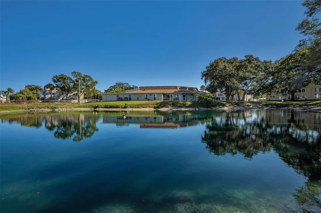 841 Patricia Avenue Dunedin FL 34698