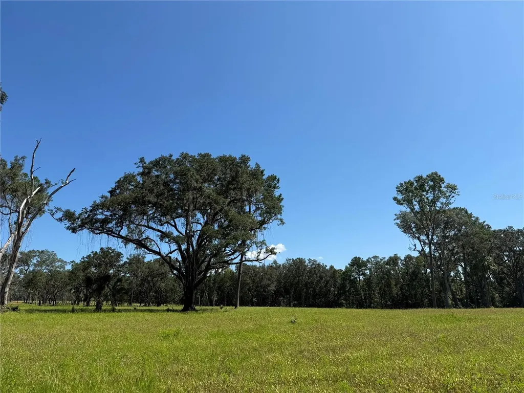 Do #6 (24ac) NW 193rd Street Micanopy FL 32667
