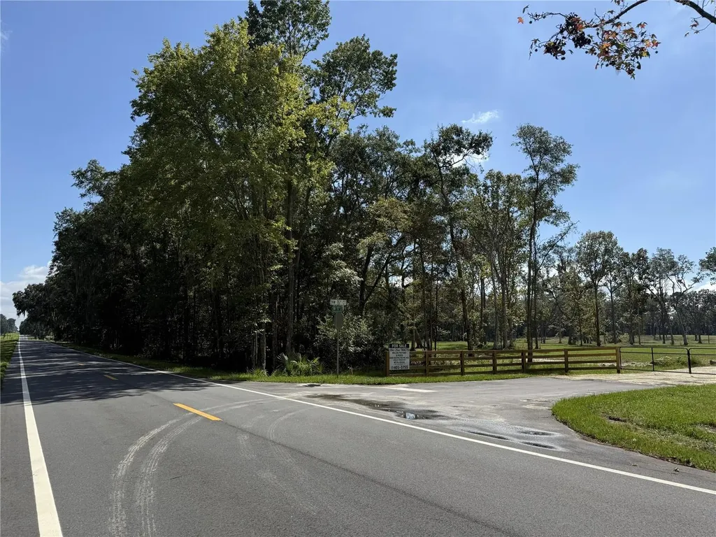 Do #6 (24ac) NW 193rd Street Micanopy FL 32667