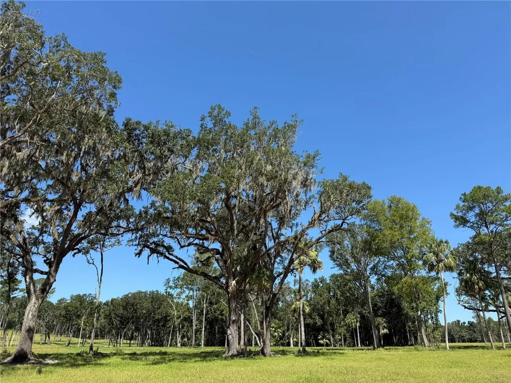 Do #6 (24ac) NW 193rd Street Micanopy FL 32667