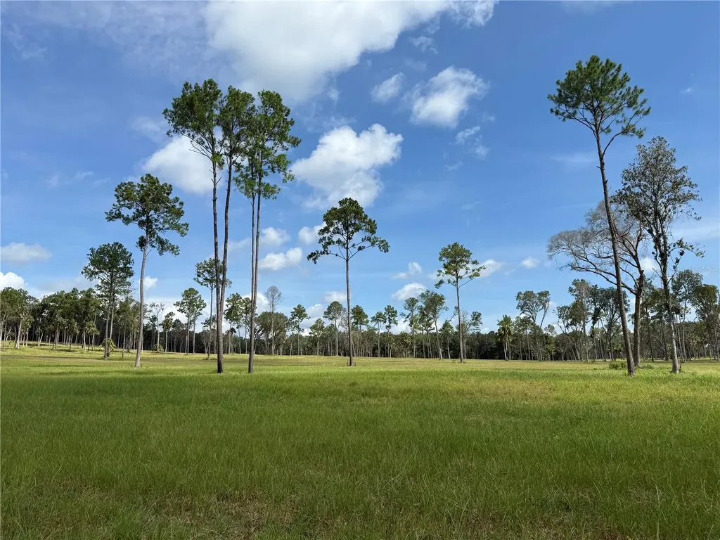 Do #6 (24ac) NW 193rd Street Micanopy FL 32667